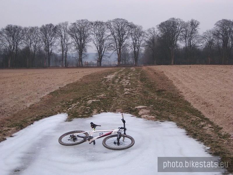 zostawiam Puszczę za plecami i wracam do domu.