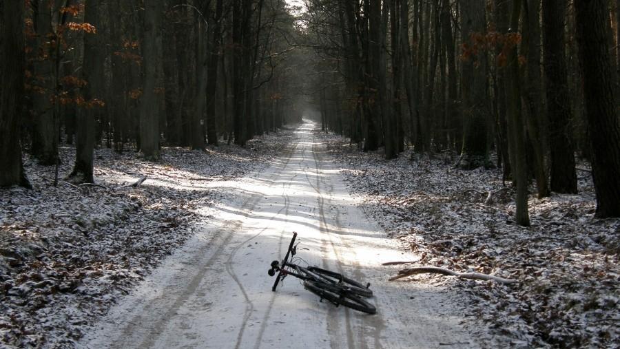 W WPN śniegu bardzo malutko, można pomykać, tylko ten mróz ...