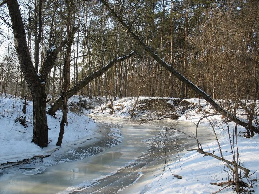 Zamarznięta Mienia