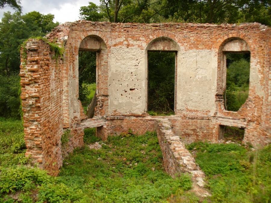 Ruiny pałacu Poniatowskich