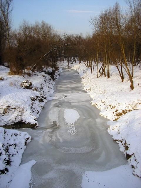 Skuta lodem Wilga