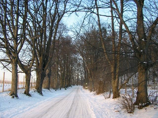 Pod górkę