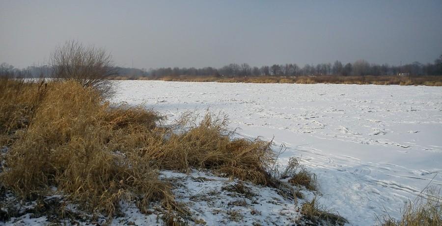 zamarznięta Odra