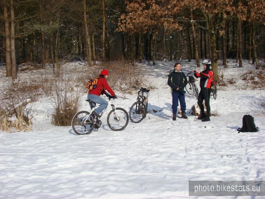 Dzieci hasają , dorośli gadają, jak to na wycieczce w lesie.