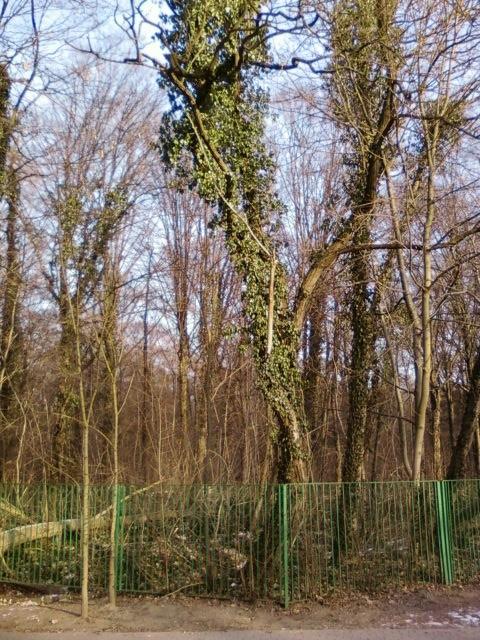 Polesie Konstantynowskie
