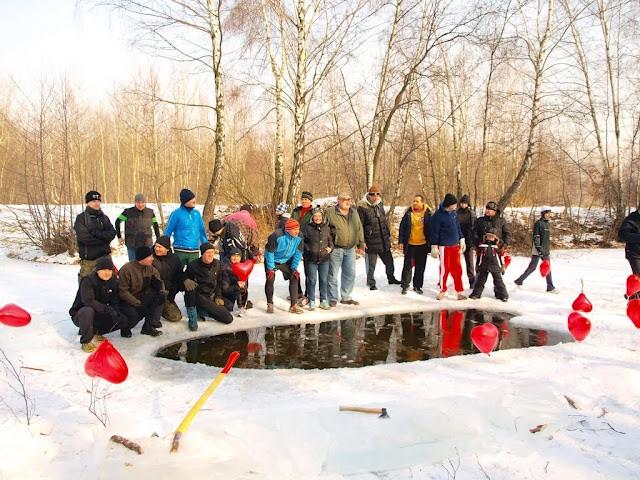 Morsy i foczki przed walentynkową kąpielą.