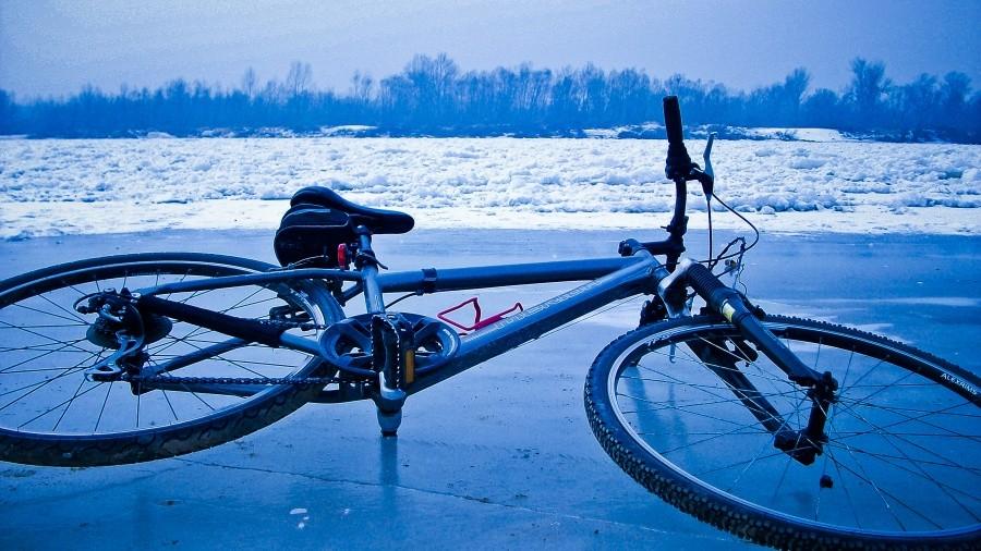 Rower nad Wislą
