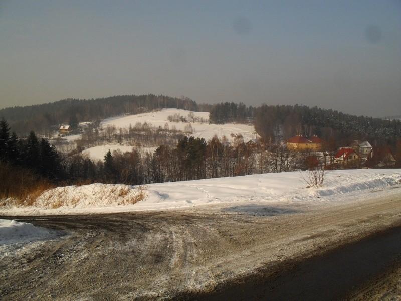 Bukowiec