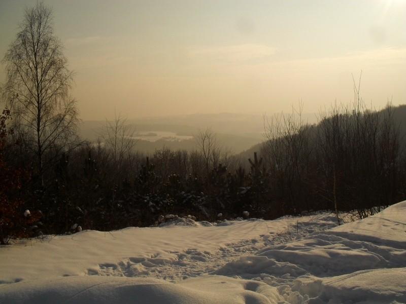 Widoczki