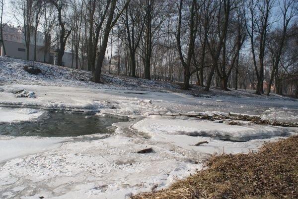 Bulwary nad Wolbórką