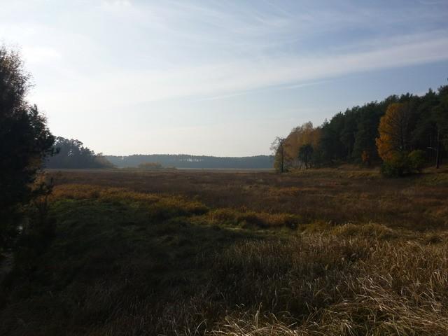 Studzienieckie Łąki