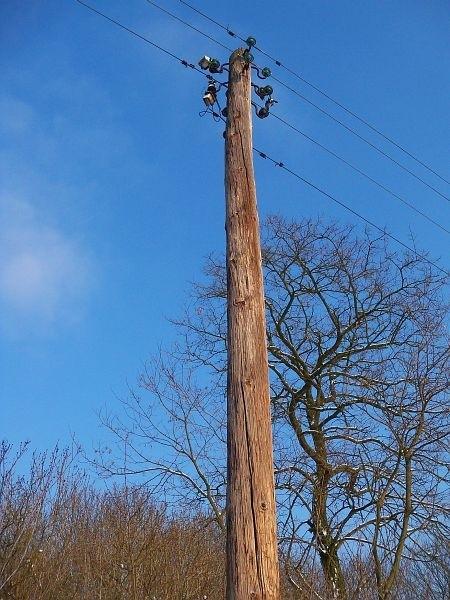 Drewniane słupy w Rybitwie, pewnie pamiętają jeszcze czasy elektryfikacji wsi :)