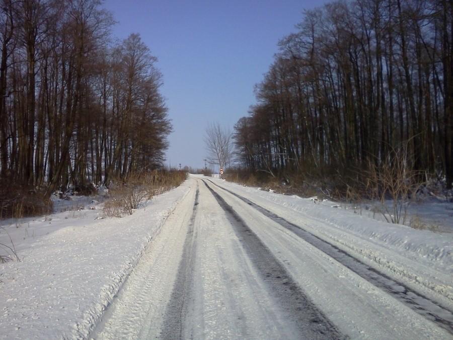Między Wisniewem a Krzewskiem