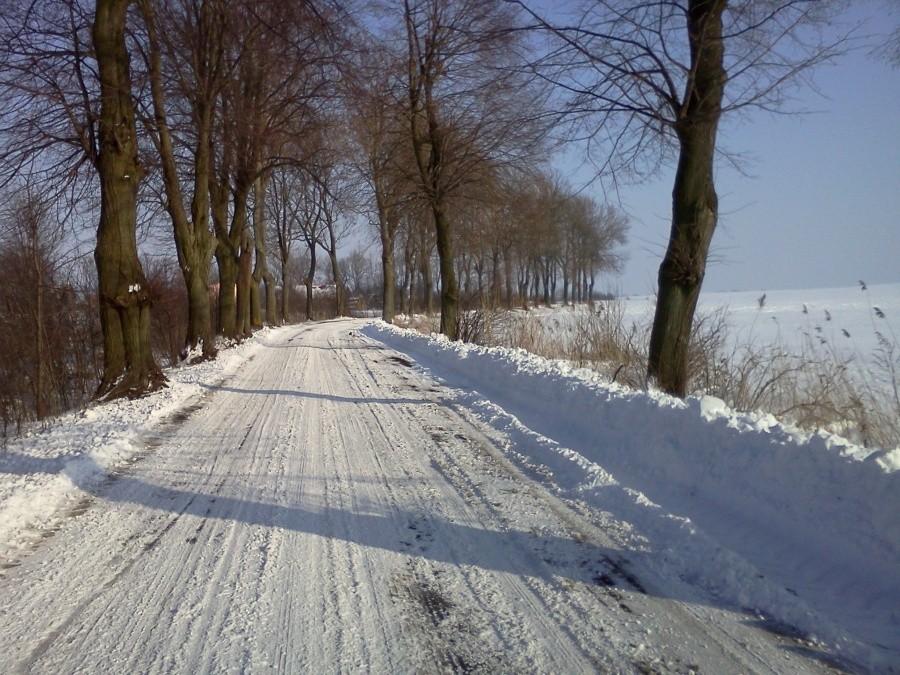 Między Stalewem a Żuławką Sztumską