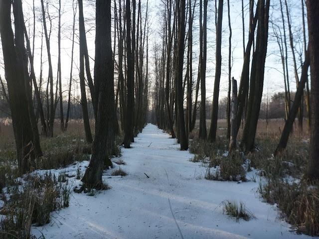 Tu normalnie jest jakieś 1,5 metra wody