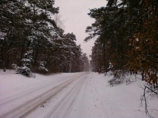 ul. Skrzydlata