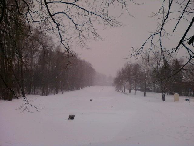 Dolina Sokołówki
