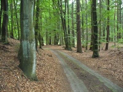 Słowiński Park Narodowy