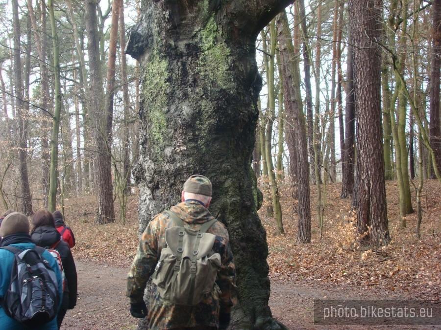 Upór co niektórych żeby iść na skróty jest zdumiewający i .... bolesny.
