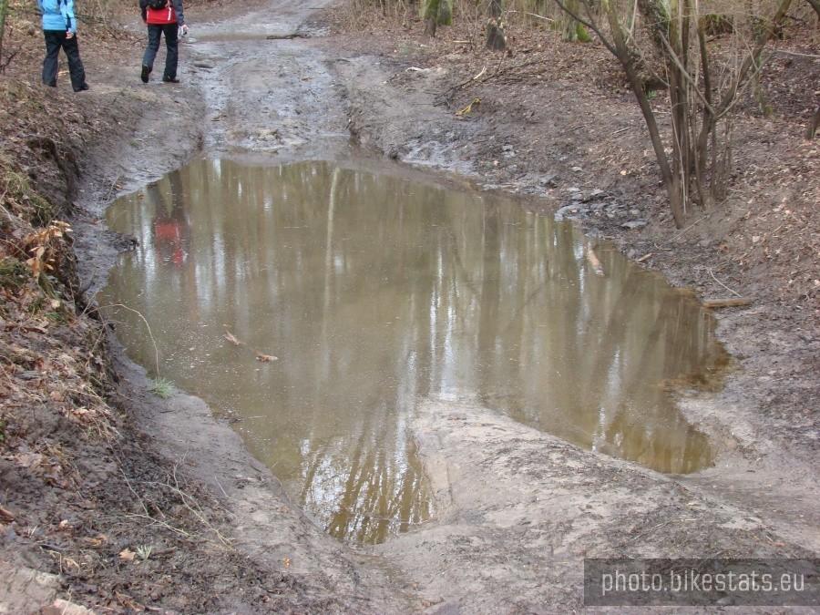 Na takie odcinki najlepsza ...amfibia.