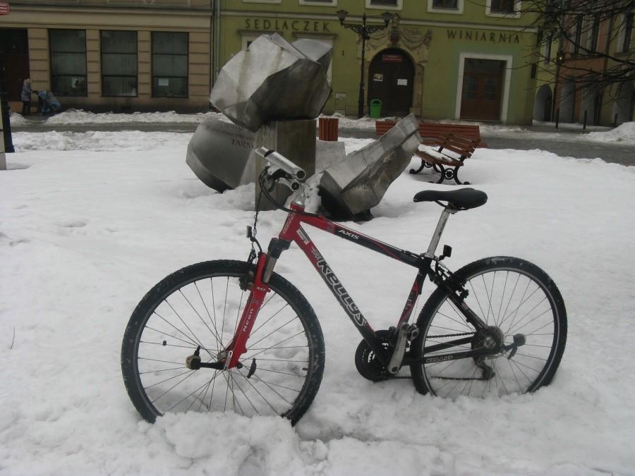 Kellysek w Tarnowskich Górach