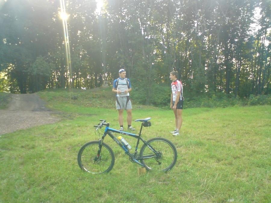 Kross i koledzy