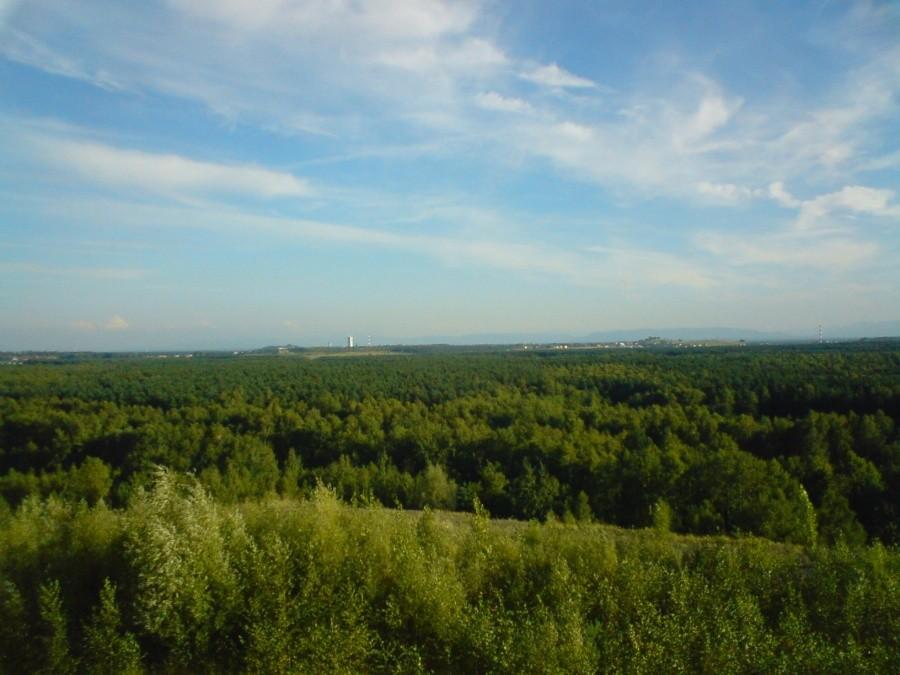 Widok na Klimont z hałny na Wesołej