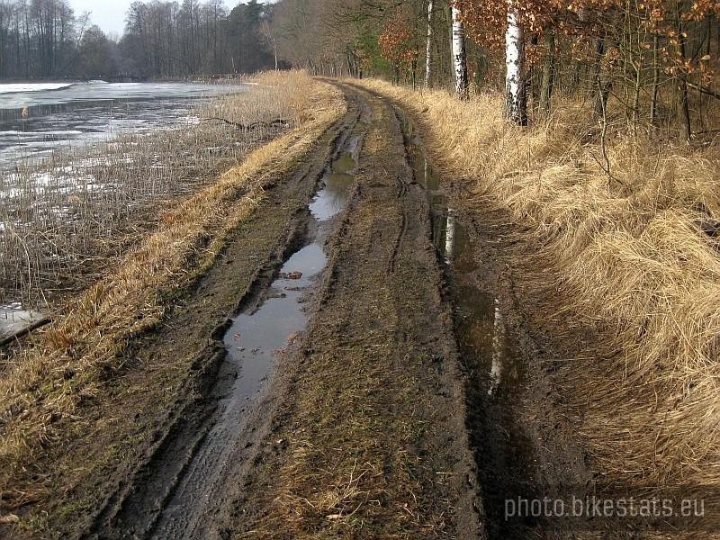 Gdzie nie było resztek śniegu, było coś takiego - droga nad stawami we Wierzonce