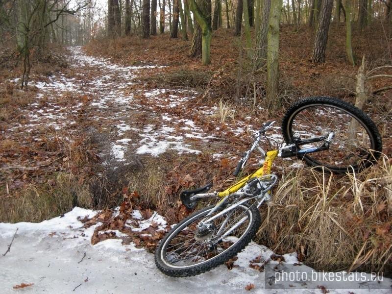 tak kończy się jazda bez hamulców :-) ślady hamowania nogami widać obok :-)))