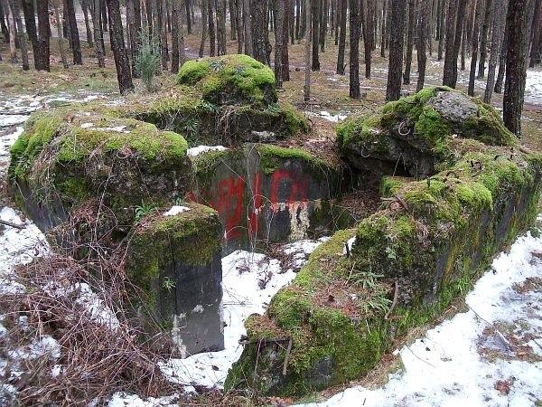 Ruiny w lesie, czyli najprawdopodobniej zniszczony fragment Fortu VIII w Grochalach