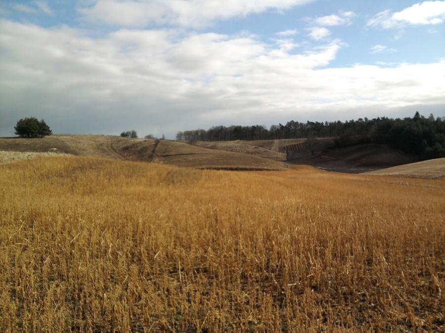 Widok wałdowski