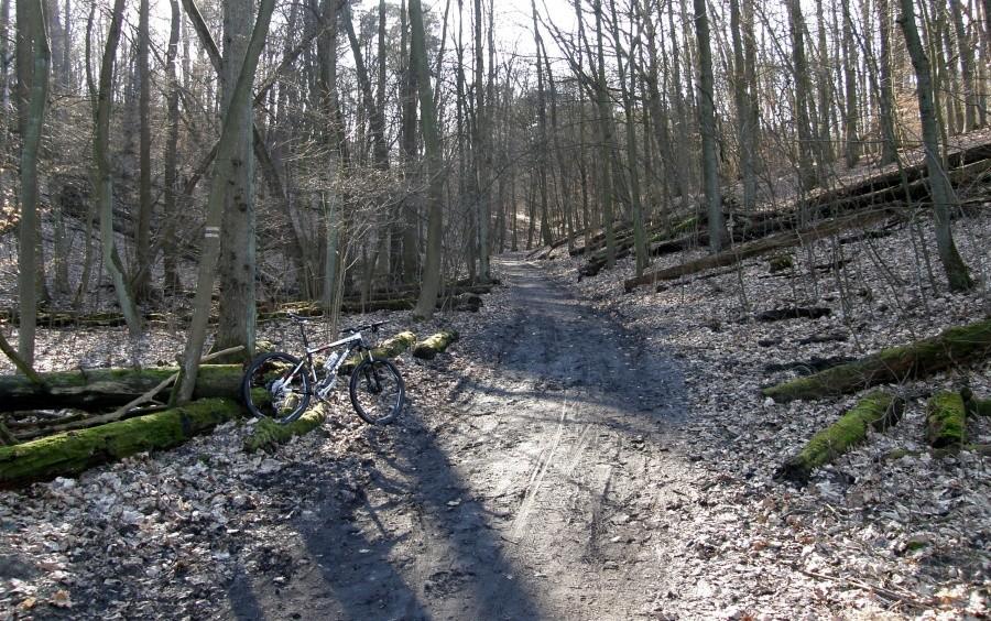 Wielkopolski Park Narodowy w swojej krasie :)