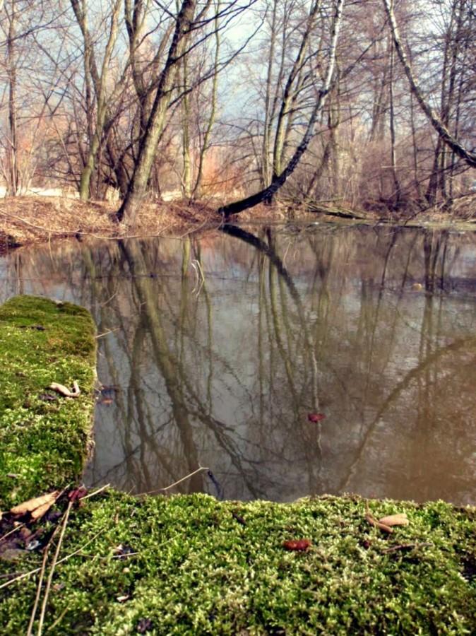 Warta koło Mstowa