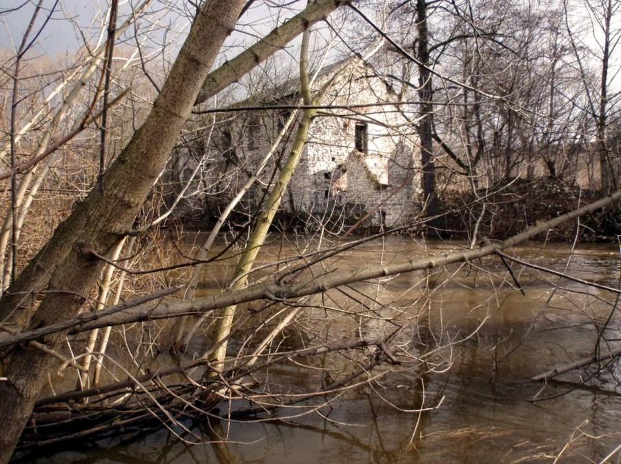 Młyn nad Wartą