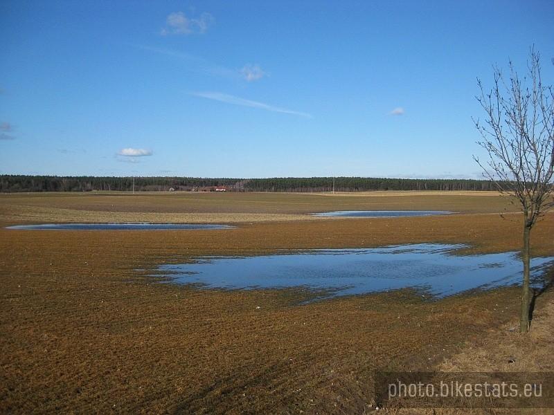 Niebieskie kałuże na polach