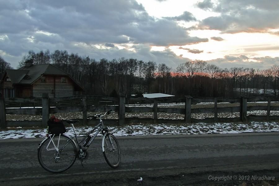 ulica Widok