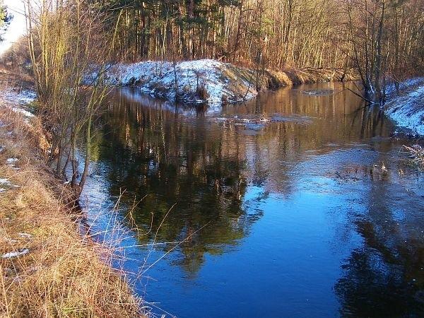 Ujście Kanału Zaborowskiego do Łasicy