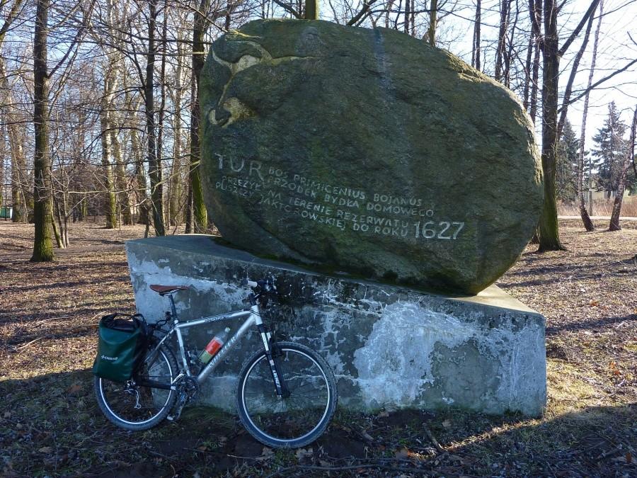Pomnik ostatniego tura. Jaktorów