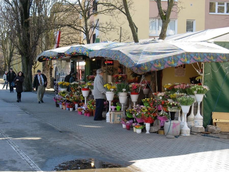 Kwiaty na ul. Sobieskiego