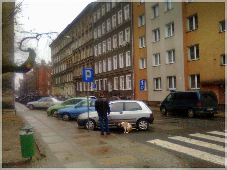 "Welcome to shitty Szczecin". Zasrańcy w akcji.