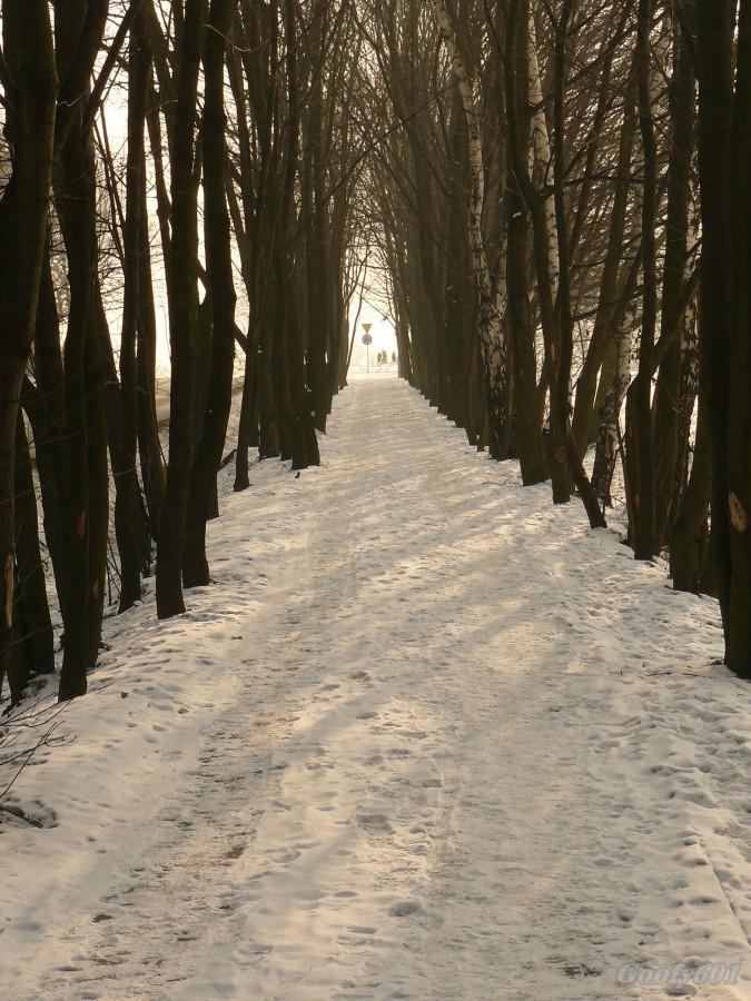 Dobrze znana ścieżka rowerowa do Mikulczyc.