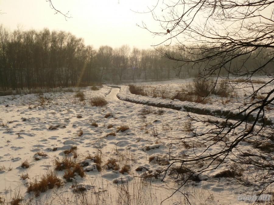 Meandry Potoku Rokitnickiego/Mikulczyckiego