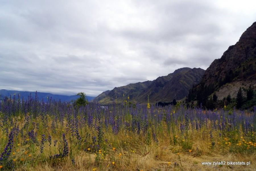 Lake Hawea I