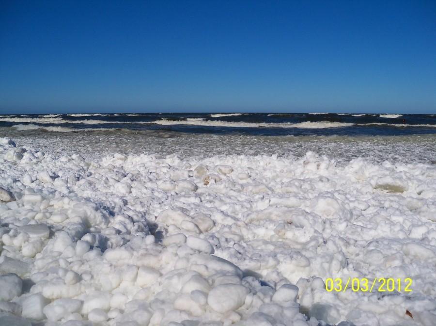 PLAŻA W STEGNIE