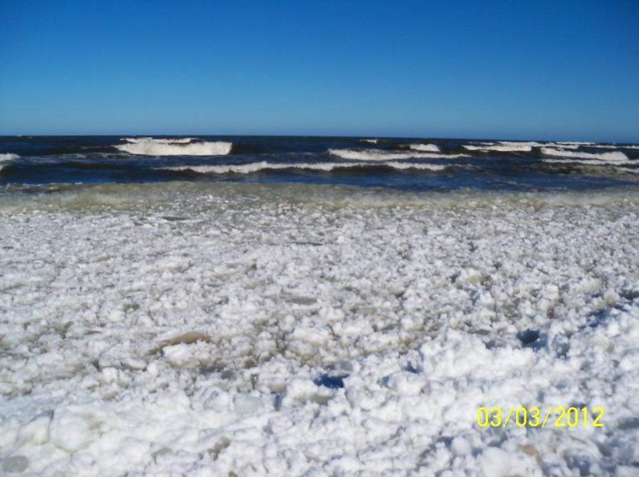 PLAŻA W STEGNIE