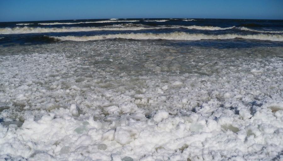 PLAŻA W STEGNIE