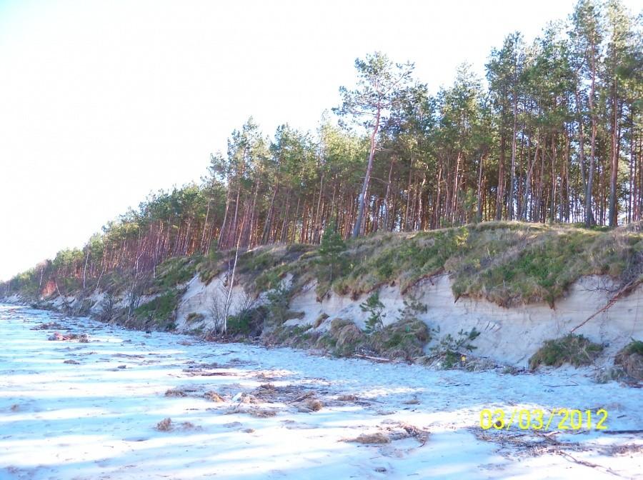 PLAŻA W STEGNIE