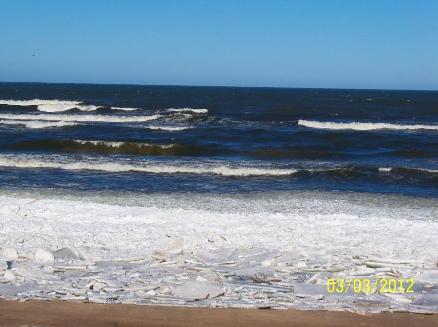 PLAŻA W STEGNIE