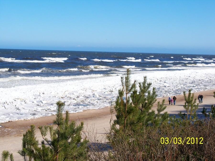 PLAŻA W STEGNIE