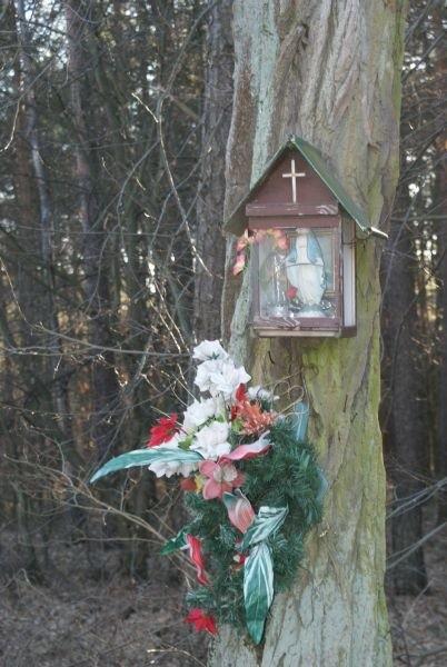 kapliczka na drzewie, blisko Spały